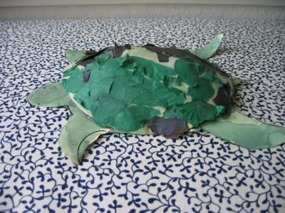 Turtle friend, January 2004