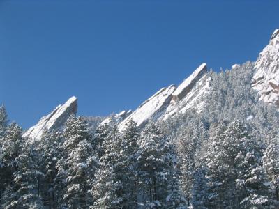 IMG_1328.jpg
