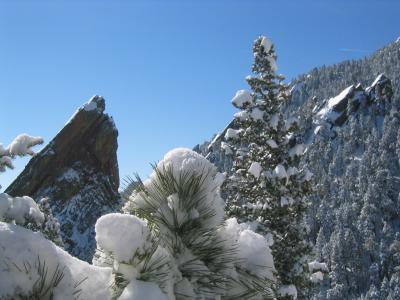 IMG_1347.jpg