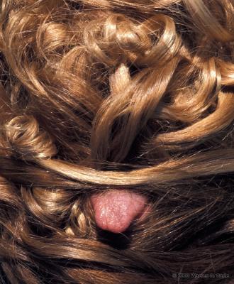 Tongue by Warren Sarle