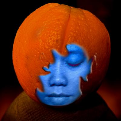 Citrus Overdose by Albert Yanowich Jr.