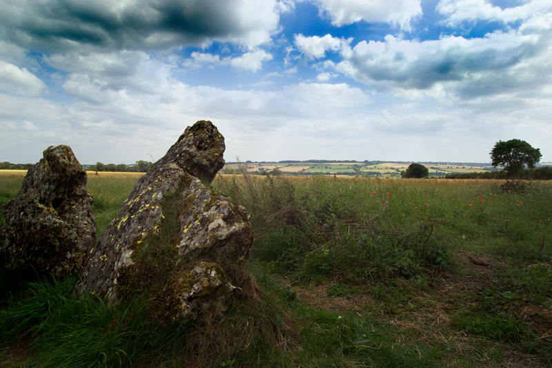 Rollrights: Guardians of the Corn by Flick Merauld
