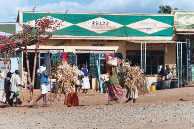 u43/kristofgeirnaert/medium/33649760.Ethiopia006_3.jpg