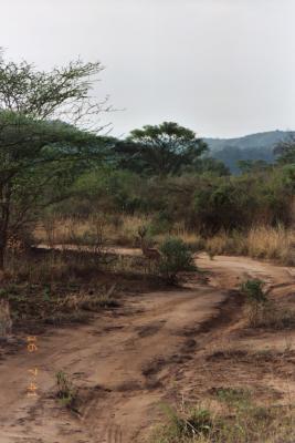 u43/kristofgeirnaert/medium/33649787.Ethiopia023_20.jpg
