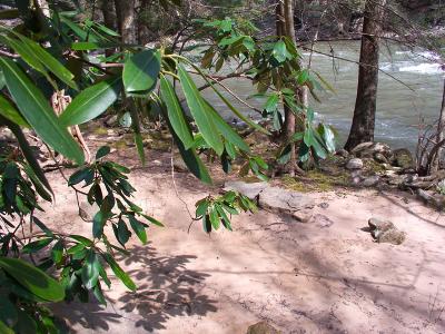 Along the Bluestone River