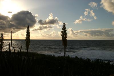 LaJolla030_RJ.jpg