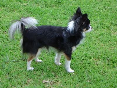 3 years old