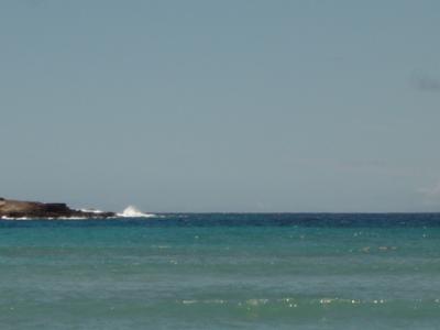u43/lamaki/medium/33653703.DSC00502.jpg
