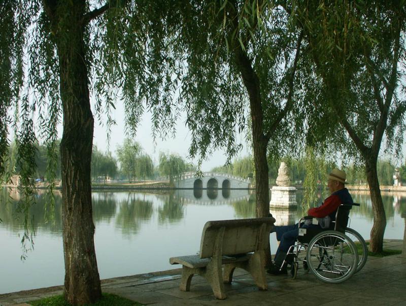 Beside the lake