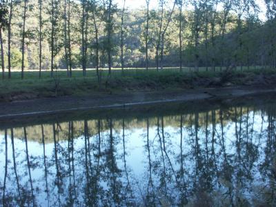 McDonald River, 2004