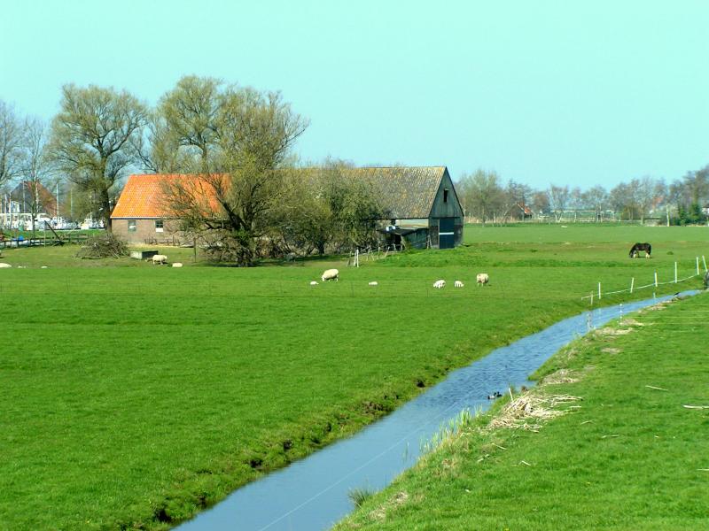 Dutch landscape from bird perspective