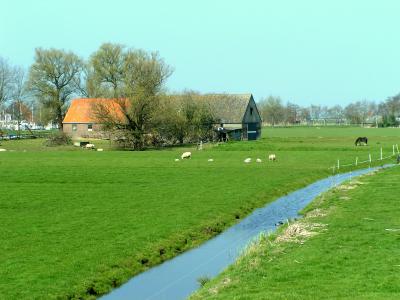 Dutch landscape from bird perspective