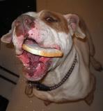 Hungry !!