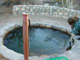 Hot Spring in Safford, AZ--Roper Lake State Park