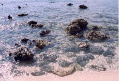 long beach rocks 1