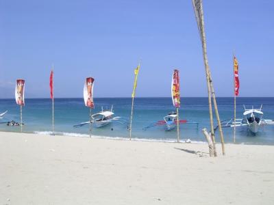 white beach flags