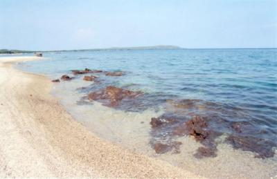 beach at low tide