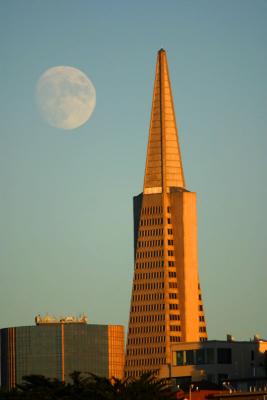 San Francisco 8655