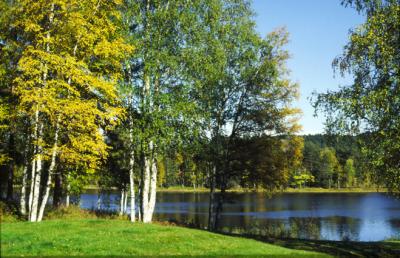 Norway0000_Scenery_Grinder.jpg
