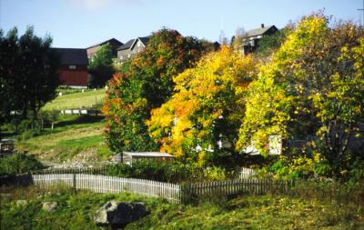 Norway005_Houses_Guldbrandsd.jpg