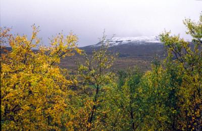 Norway016_Scenery_Telemarken.jpg