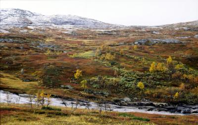 Norway018_Scenery_Telemarken.jpg