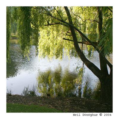 Park Lake