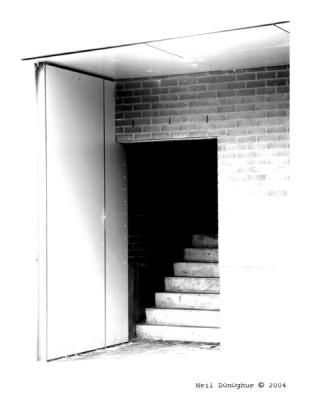 Door & Steps