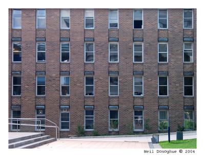 Residential Windows