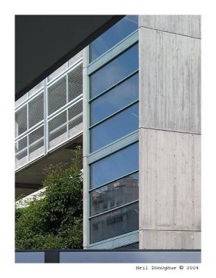 Windows & Grates