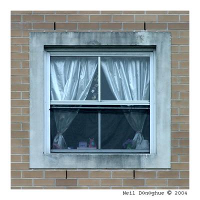 Arranged Window