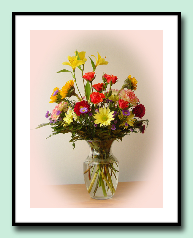 Susies Flowers