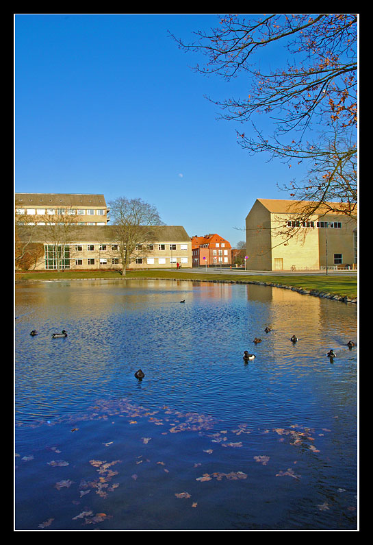 University Park, Aarhus