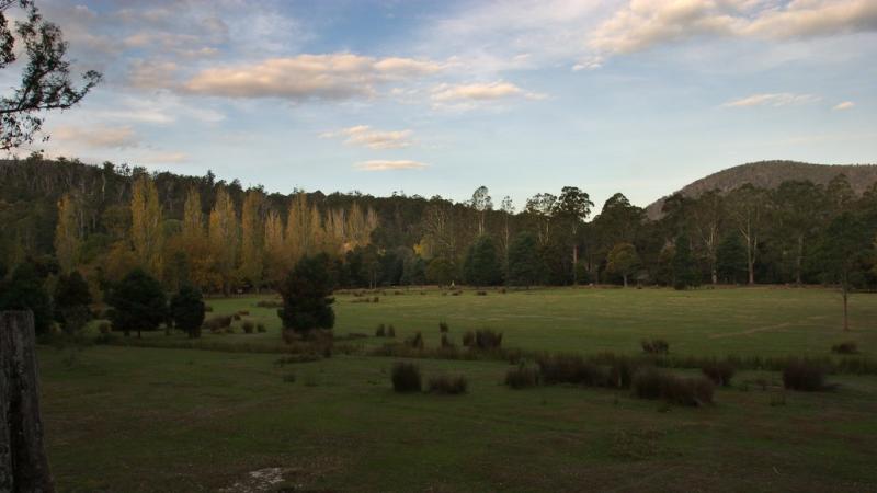 Mt Fields National Park