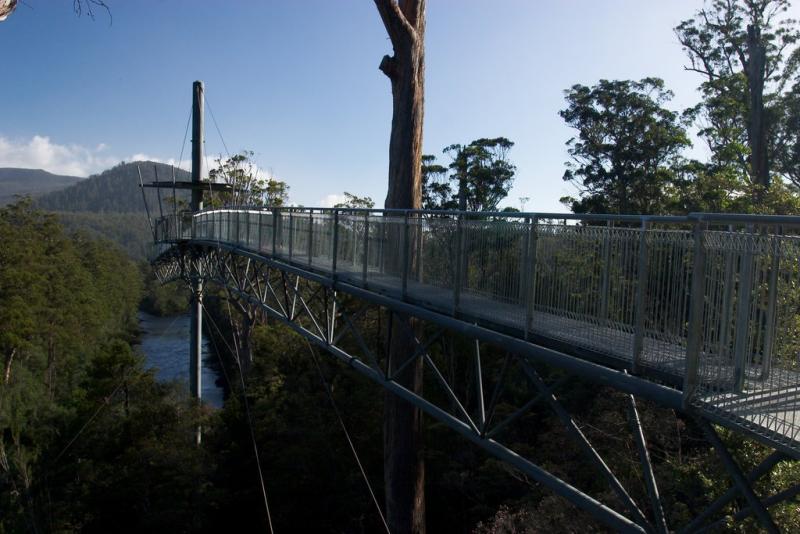 Tahune Forest AirWalk -- cantilever viewing platform