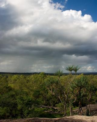 Rain squalls over the forest