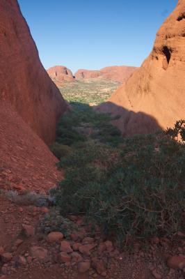 the Olgas (near Ayers Rock)