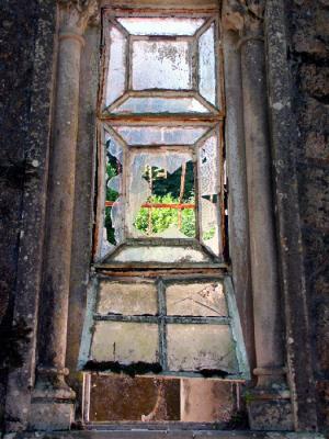 the greenhouse window