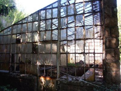 greenhouse view from side