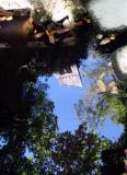 reflection on cascade lake