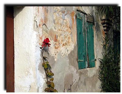 green_window_0020