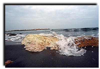winter_sea_6550