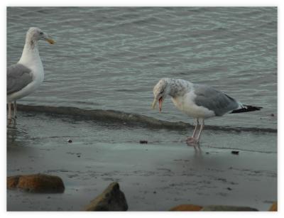 This sand is mine, These rocks are mine, These ...