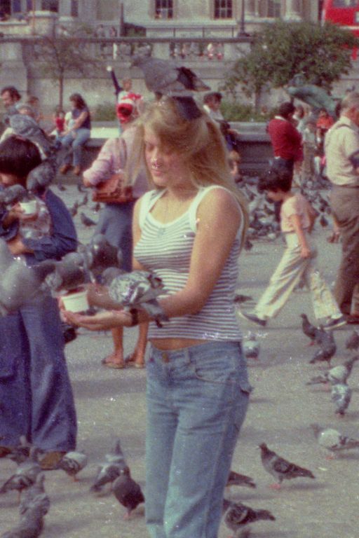 1975, 1976 (596)