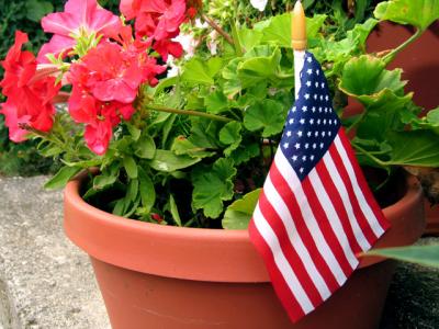 American flower pot edit.jpg