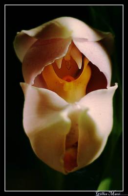 or17_5622.jpg
