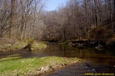 Little Gunpowder in Spring