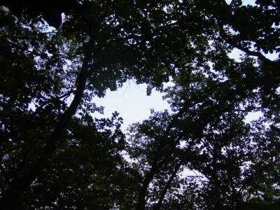 a hole in the sky