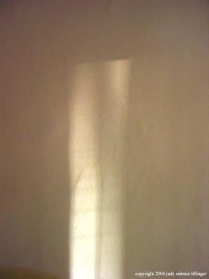 8.30 shadows