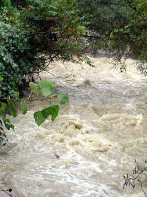 u43/malewis/medium/33646765.TheViewUpstream.jpg